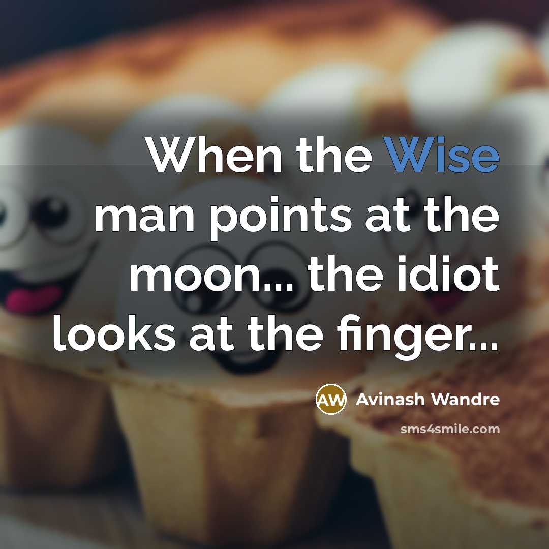 “When the Wise man points at the moon... the idiot looks at the finger...” quote by Avinash Wandre