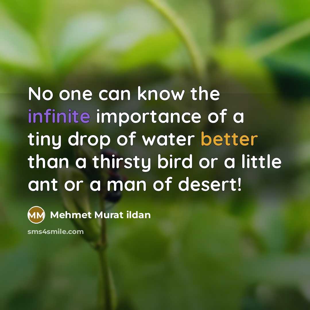 “No one can know the infinite importance of a tiny drop of water better than a thirsty bird or a little ant or a man of desert!” quote by Mehmet Murat Ildan
