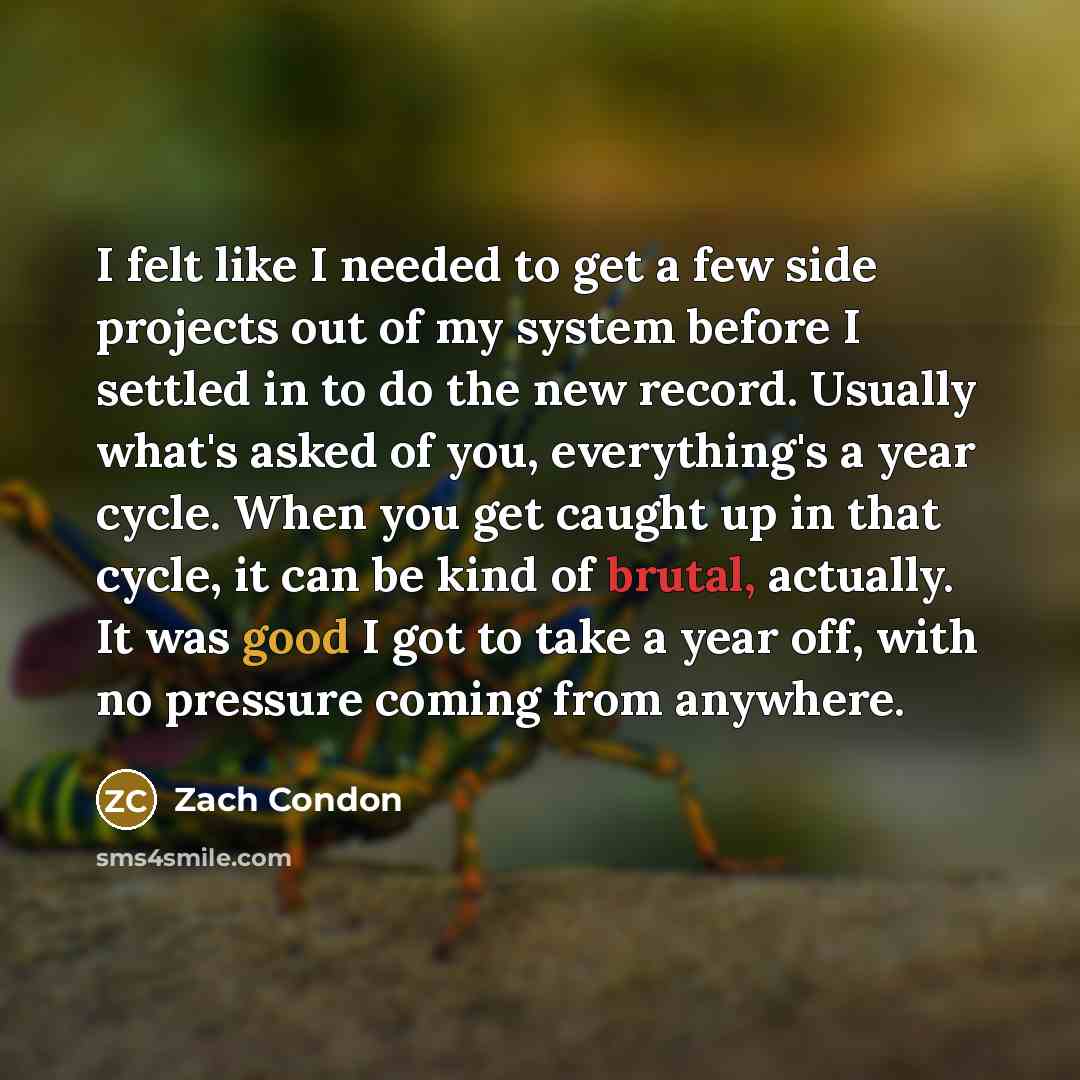 “I felt like I needed to get a few side projects out of my system before I settled in to do the new record. Usually what's asked of you, everything's a year cycle. When you get caught up in that cycle, it can be kind of brutal, actually. It was good I got to take a year off, with no pressure coming…” quote by Zach Condon
