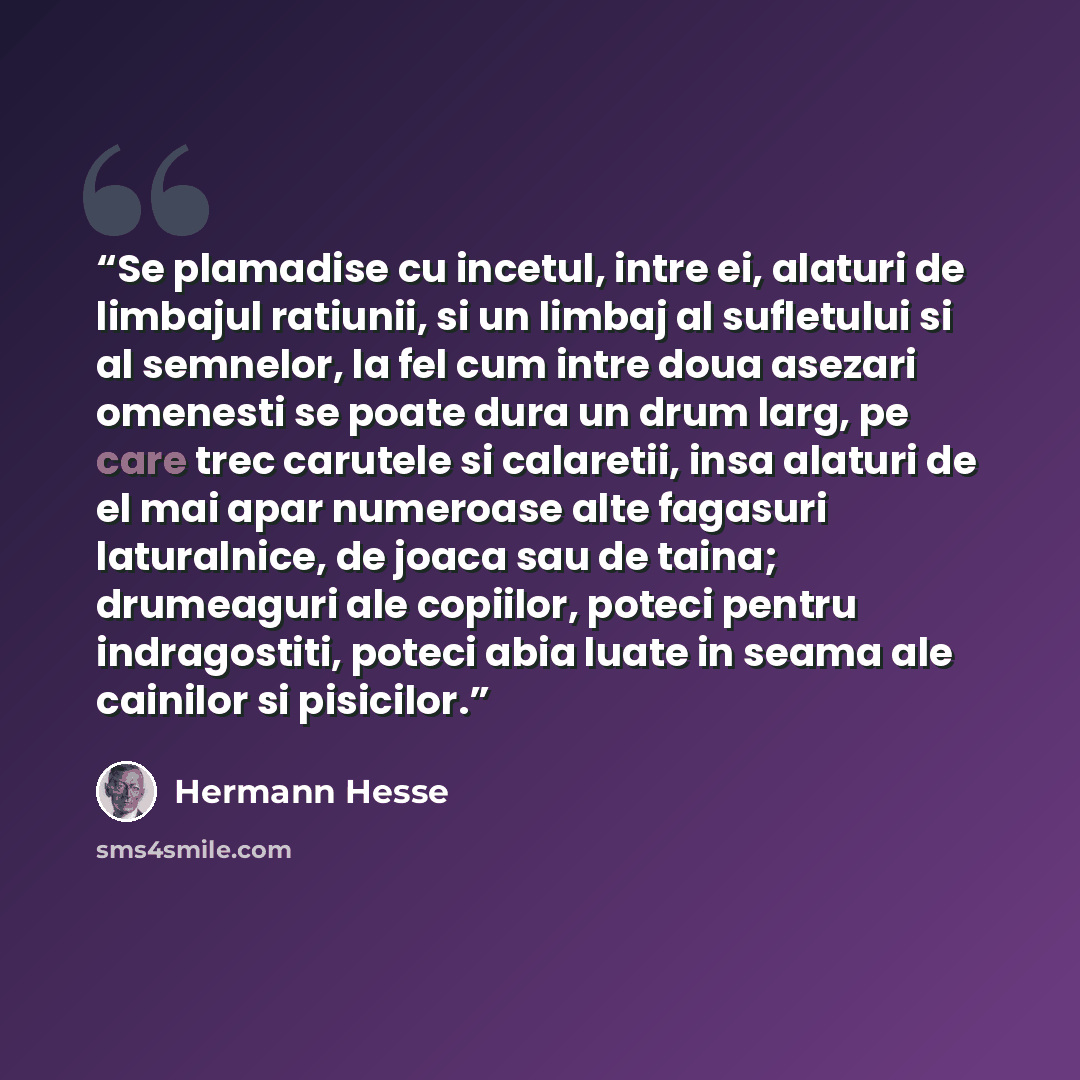 “Se plamadise cu incetul, intre ei, alaturi de limbajul ratiunii, si un limbaj al sufletului si al semnelor, la fel cum intre doua asezari omenesti se poate dura un drum larg, pe care trec carutele si calaretii, insa alaturi de el mai apar numeroase alte fagasuri laturalnice, de joaca sau de taina…” quote by Hermann Hesse
