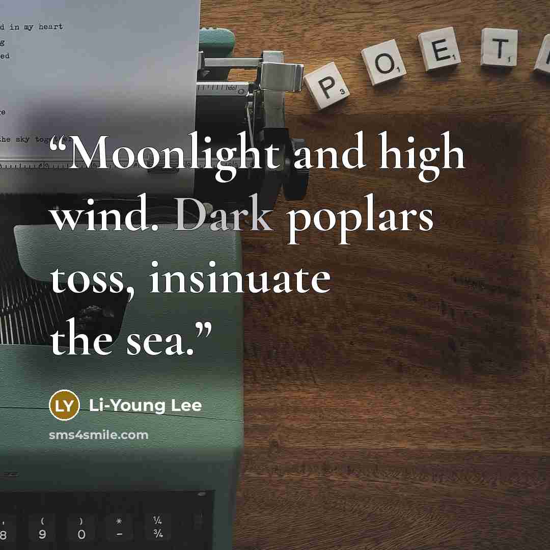 “Moonlight and high wind. Dark poplars toss, insinuate the sea.” quote by Li-Young Lee