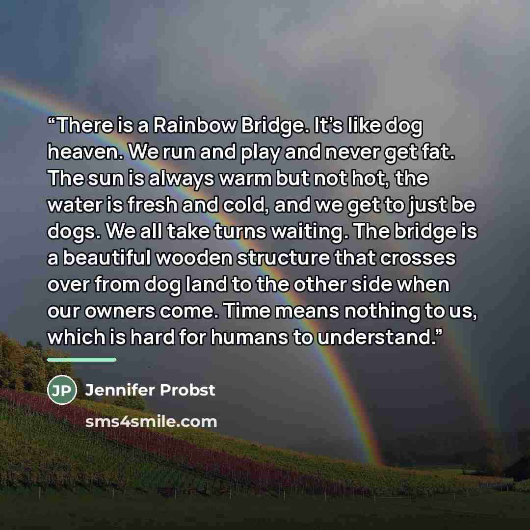 “There is a Rainbow Bridge. It’s like dog heaven. We run and play and never get fat. The sun is always warm but not hot, the water is fresh and cold, and we get to just be dogs. We all take turns waiting. The bridge is a beautiful wooden structure that crosses over from dog land to the other side…” quote by Jennifer Probst