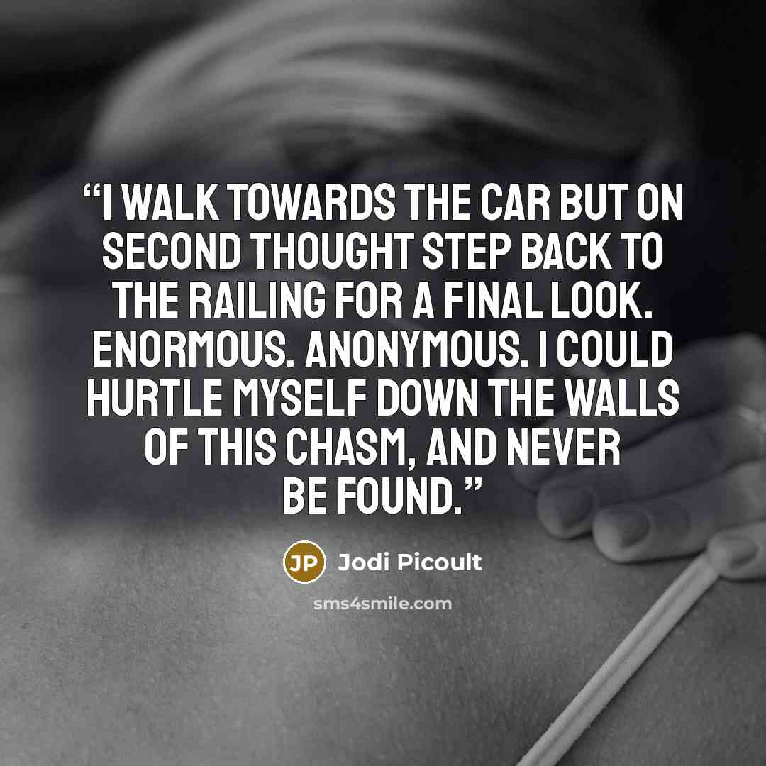 “I walk towards the car but on second thought step back to the railing for a final look. Enormous. Anonymous. I could hurtle myself down the walls of this chasm, and never be found.” quote by Jodi Picoult