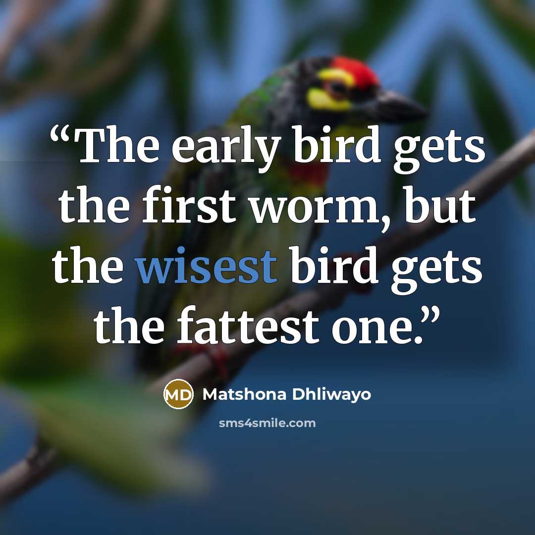 “The early bird gets the first worm, but the wisest bird gets the fattest one.” quote by Matshona Dhliwayo