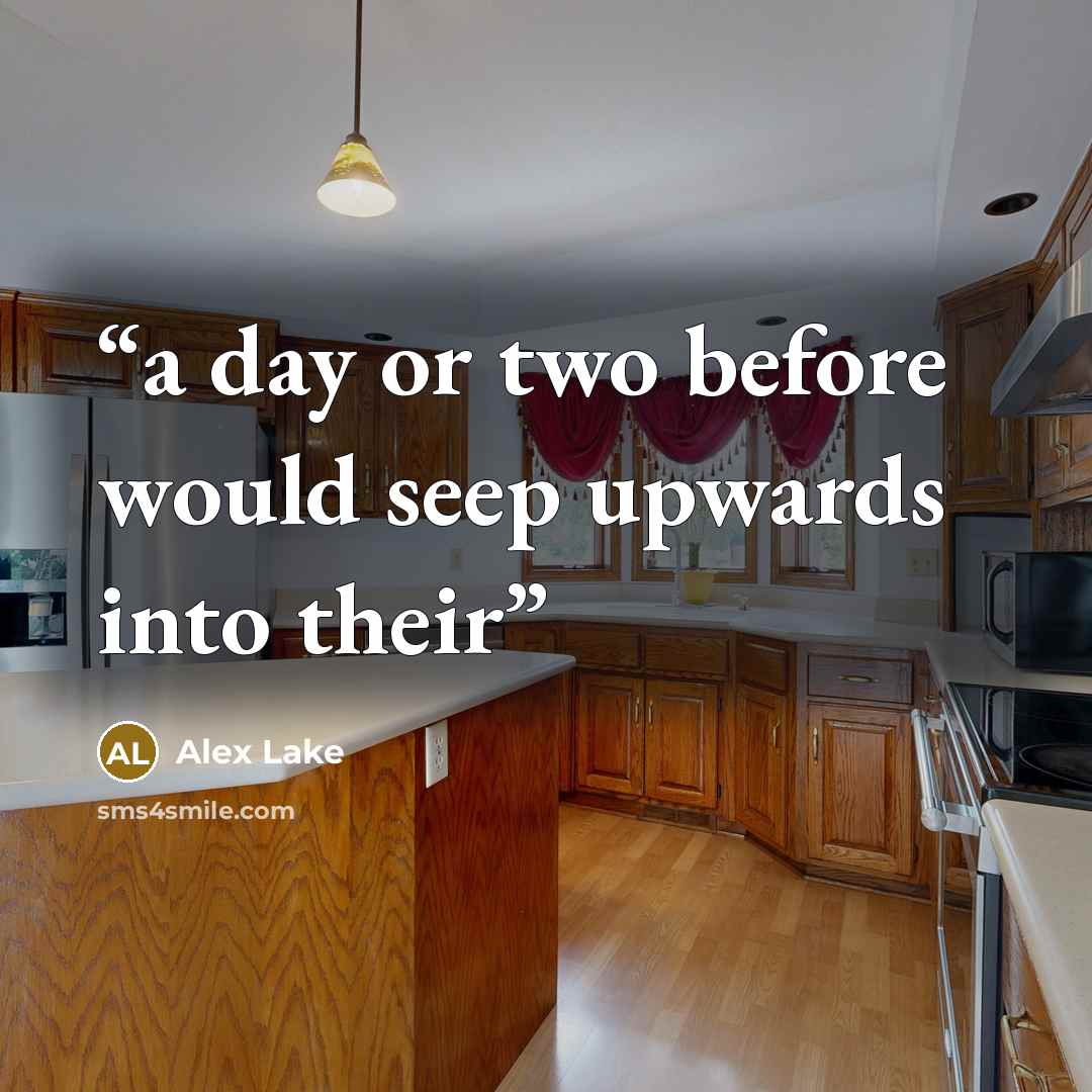 “a day or two before would seep upwards into their” quote by Alex Lake