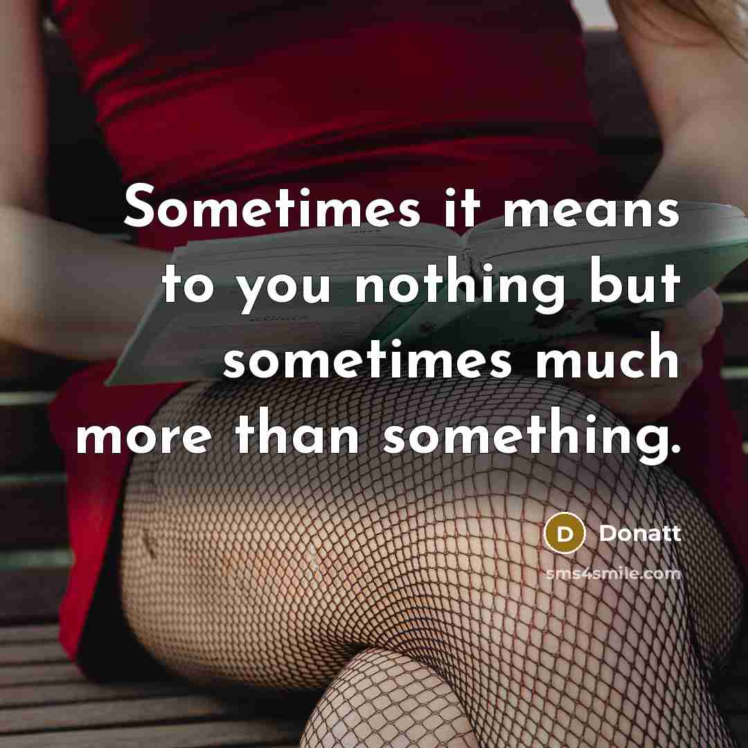 “Sometimes it means to you nothing but sometimes much more than something.” quote by Donatt