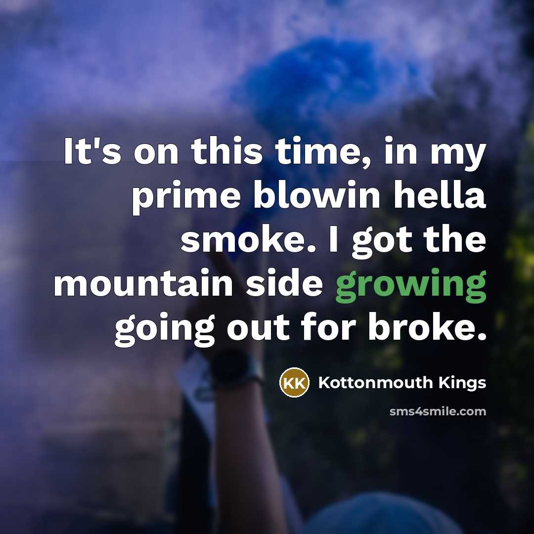 “It's on this time, in my prime blowin hella smoke. I got the mountain side growing going out for broke.” quote by Kottonmouth Kings