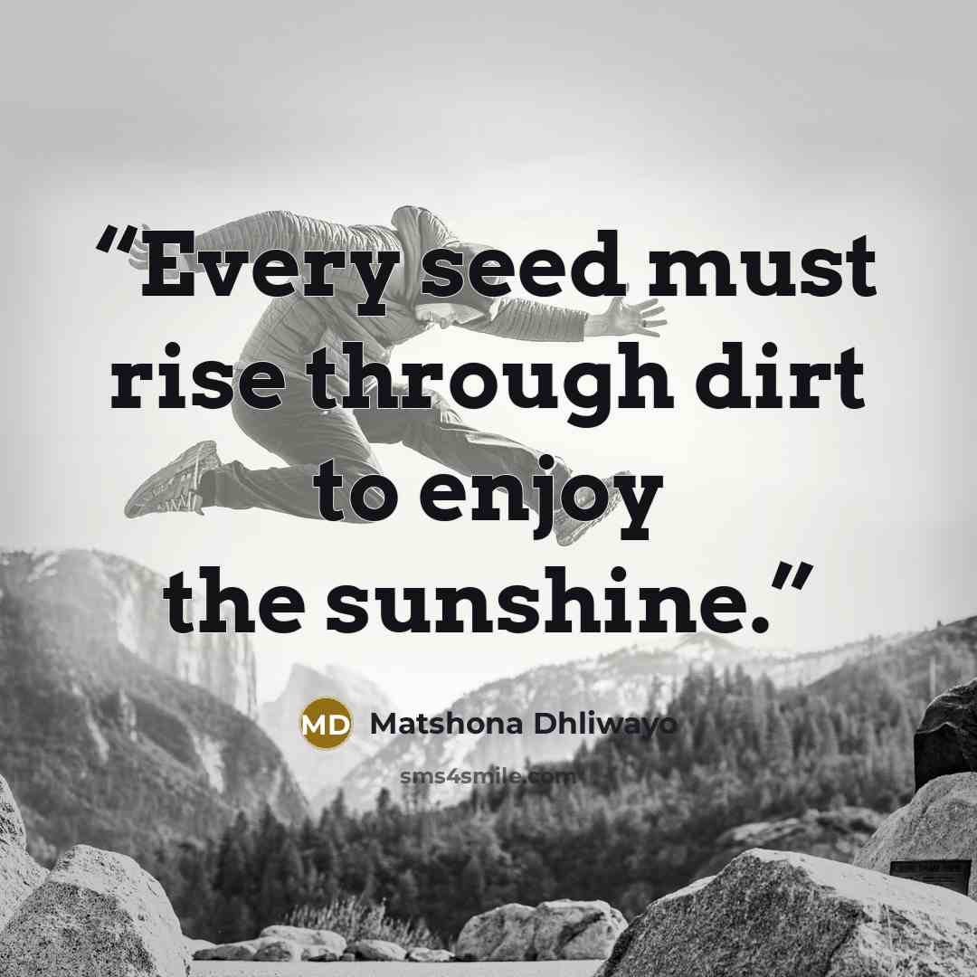 “Every seed must rise through dirt to enjoy the sunshine.” quote by Matshona Dhliwayo