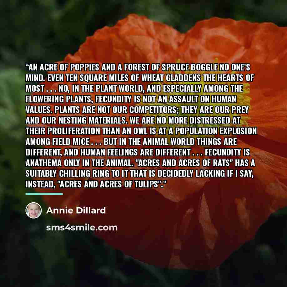 “An acre of poppies and a forest of spruce boggle no one’s mind. Even ten square miles of wheat gladdens the hearts of most . . . No, in the plant world, and especially among the flowering plants, fecundity is not an assault on human values. Plants are not our competitors; they are our prey and our…” quote by Annie Dillard