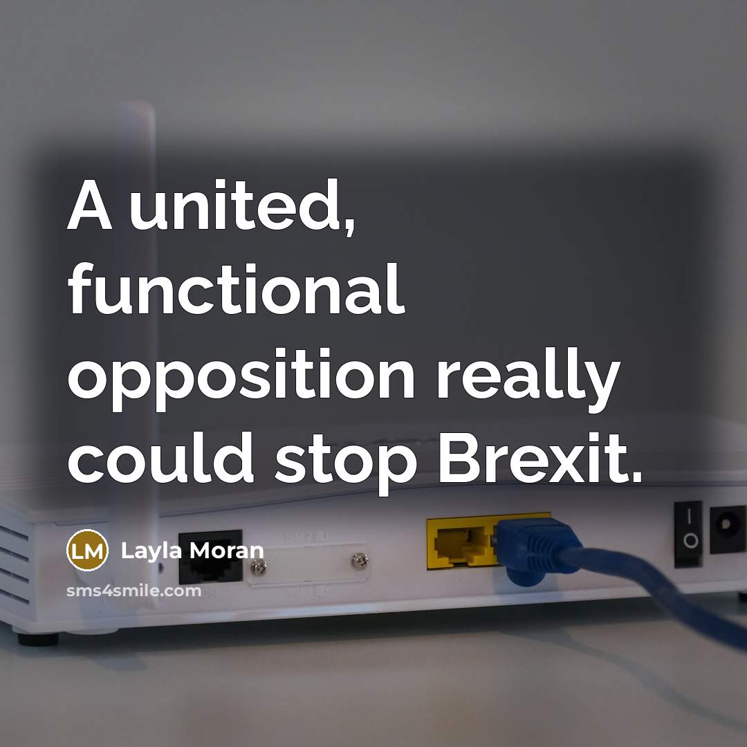 “A united, functional opposition really could stop Brexit.” quote by Layla Moran