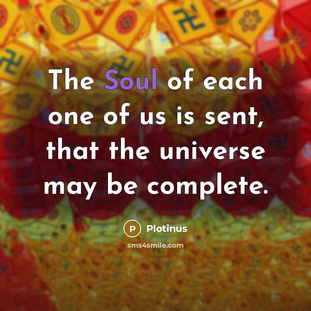“The Soul of each one of us is sent, that the universe may be complete.” quote by Plotinus