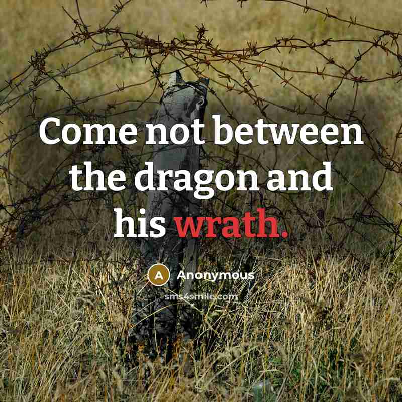 “Come not between the dragon and his wrath.” quote by Anonymous