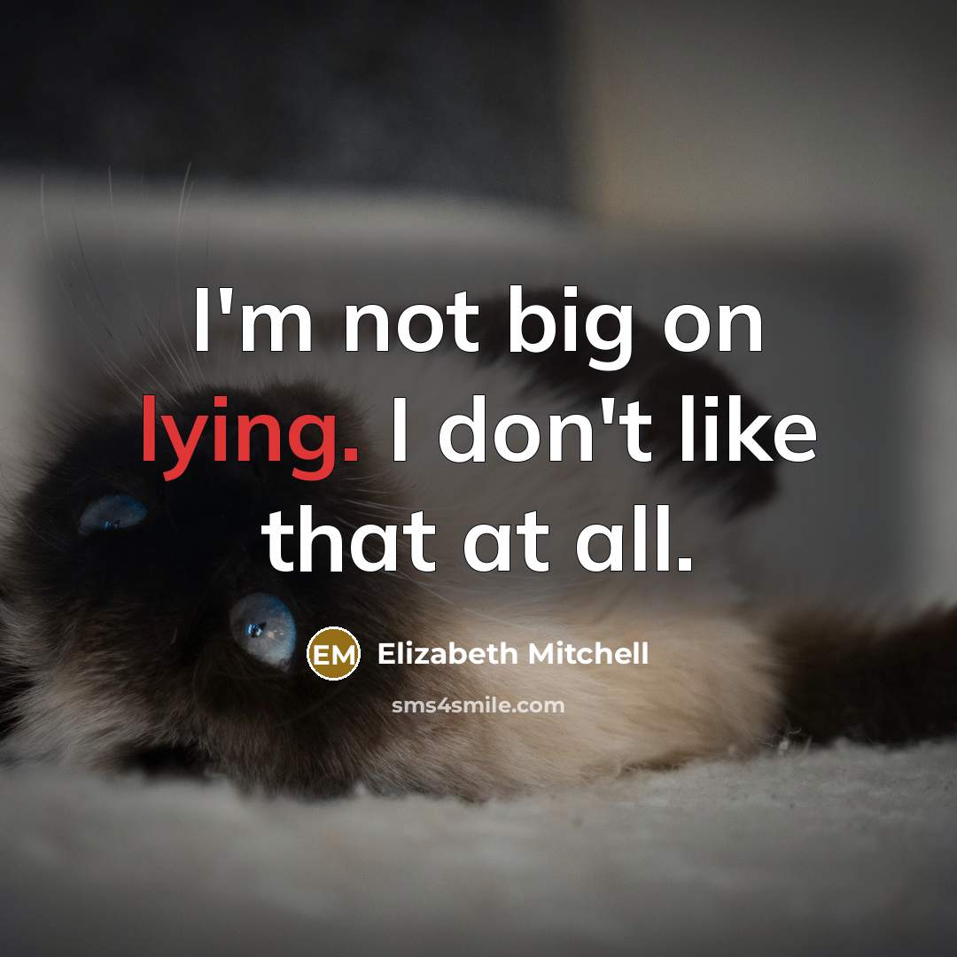 “I'm not big on lying. I don't like that at all.” quote by Elizabeth Mitchell