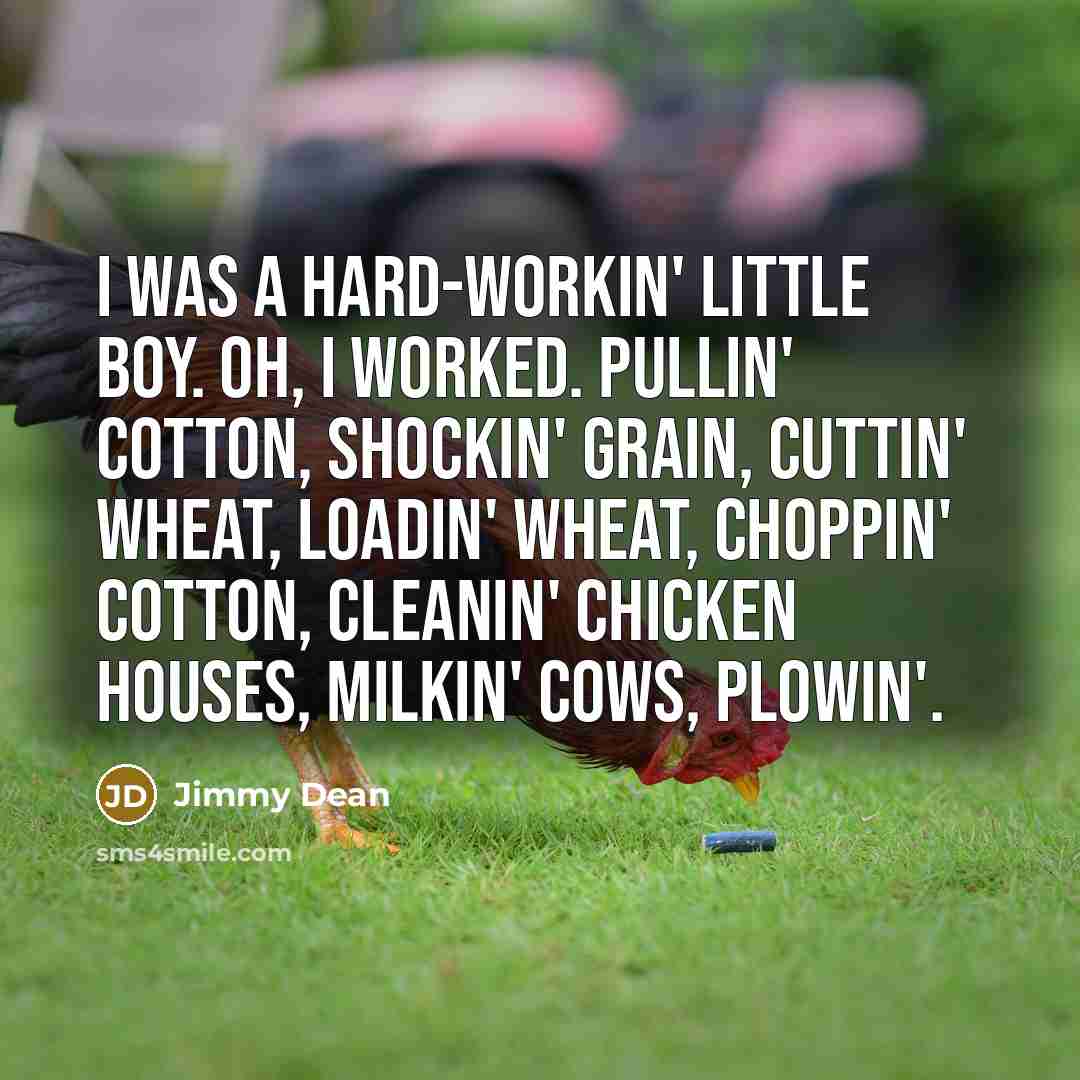 “I was a hard-workin' little boy. Oh, I worked. Pullin' cotton, shockin' grain, cuttin' wheat, loadin' wheat, choppin' cotton, cleanin' chicken houses, milkin' cows, plowin'.” quote by Jimmy Dean