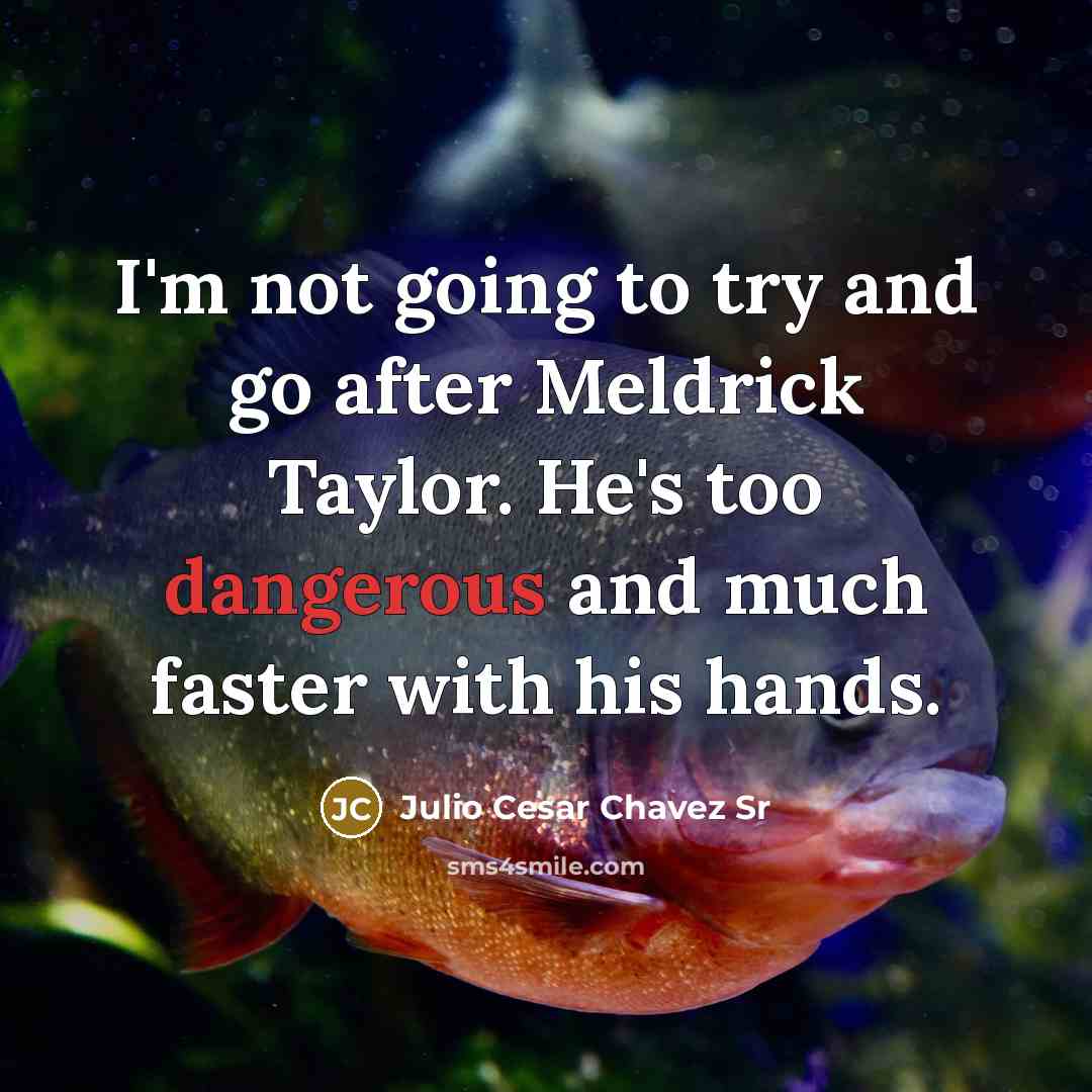 “I'm not going to try and go after Meldrick Taylor. He's too dangerous and much faster with his hands.” quote by Julio Cesar Chavez Sr