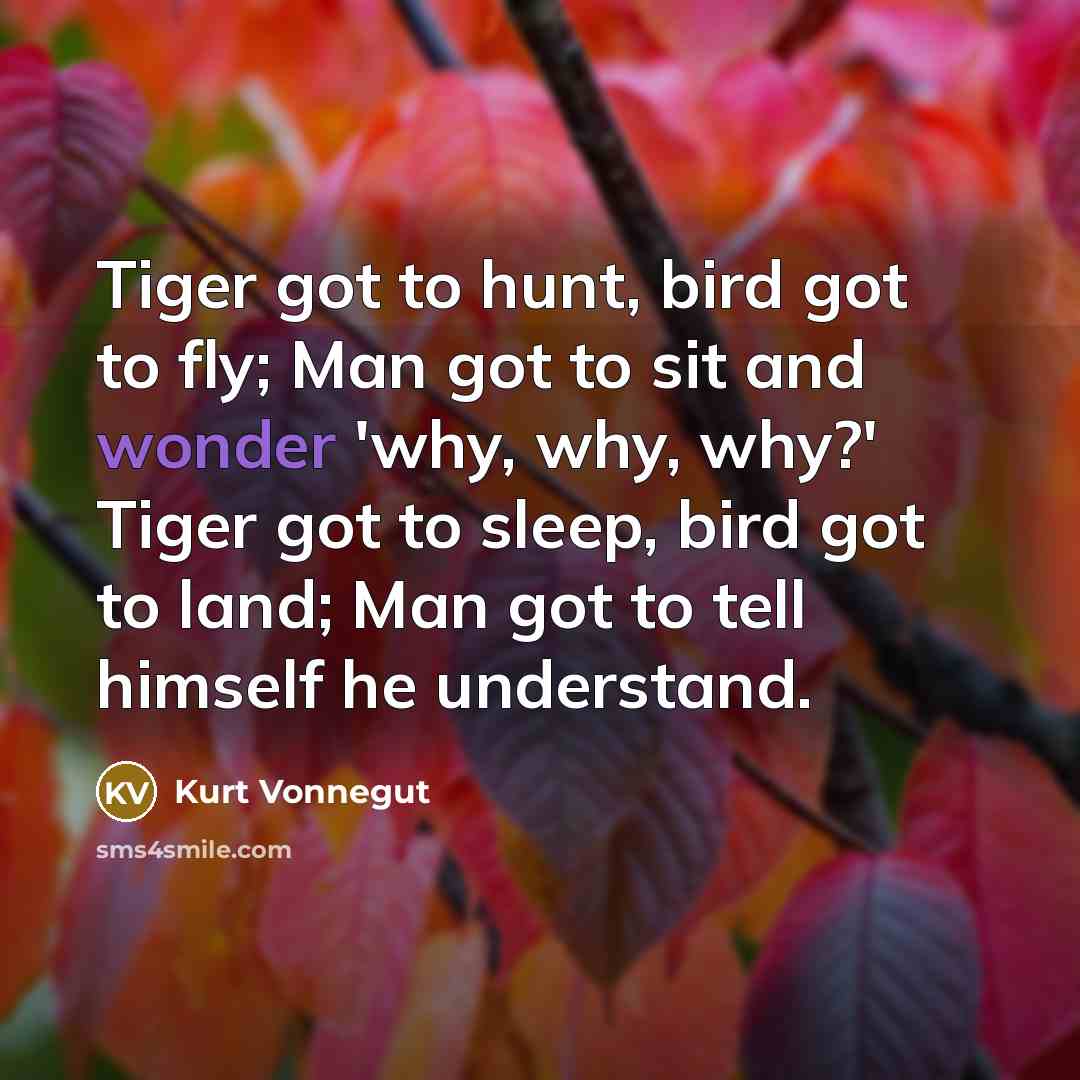 “Tiger got to hunt, bird got to fly; Man got to sit and wonder 'why, why, why?' Tiger got to sleep, bird got to land; Man got to tell himself he understand.” quote by Kurt Vonnegut