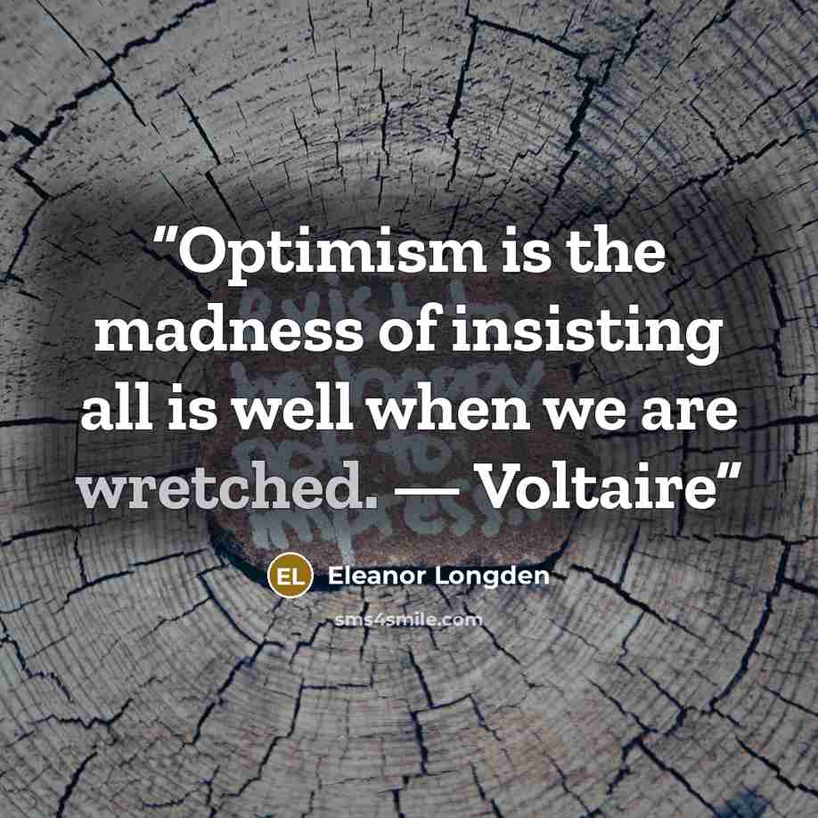 “Optimism is the madness of insisting all is well when we are wretched. — Voltaire” quote by Eleanor Longden