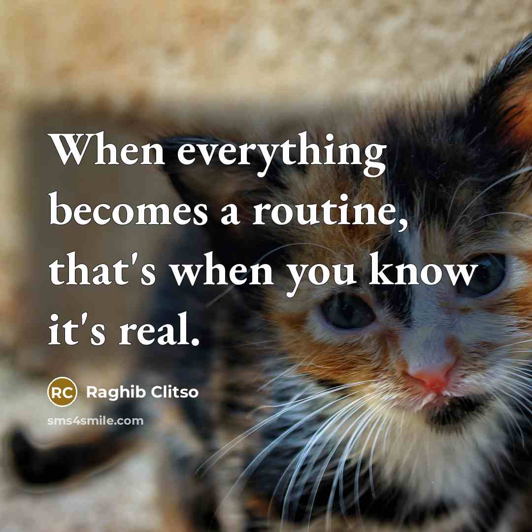 “When everything becomes a routine, that's when you know it's real.” quote by Raghib Clitso