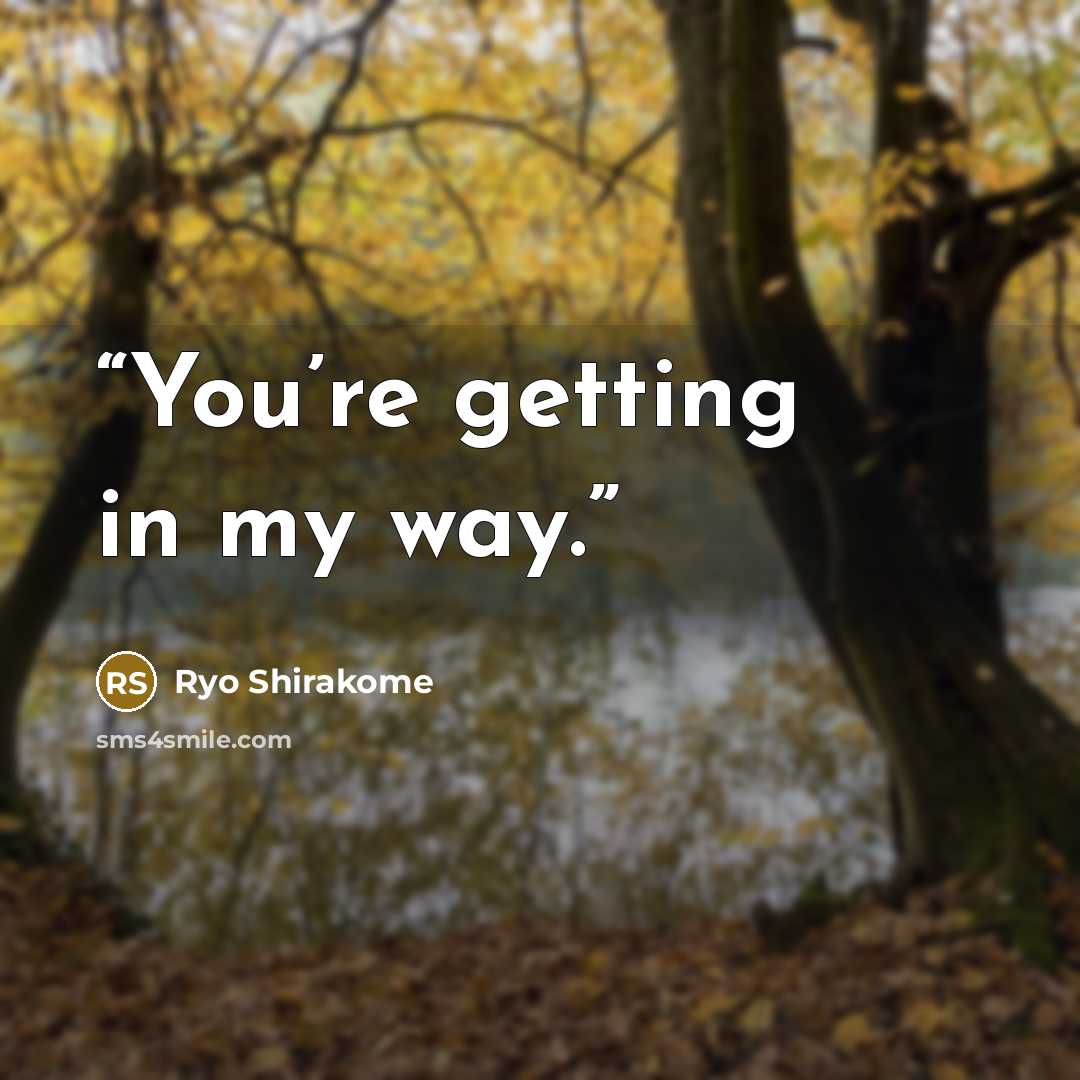 “You’re getting in my way.” quote by Ryo Shirakome