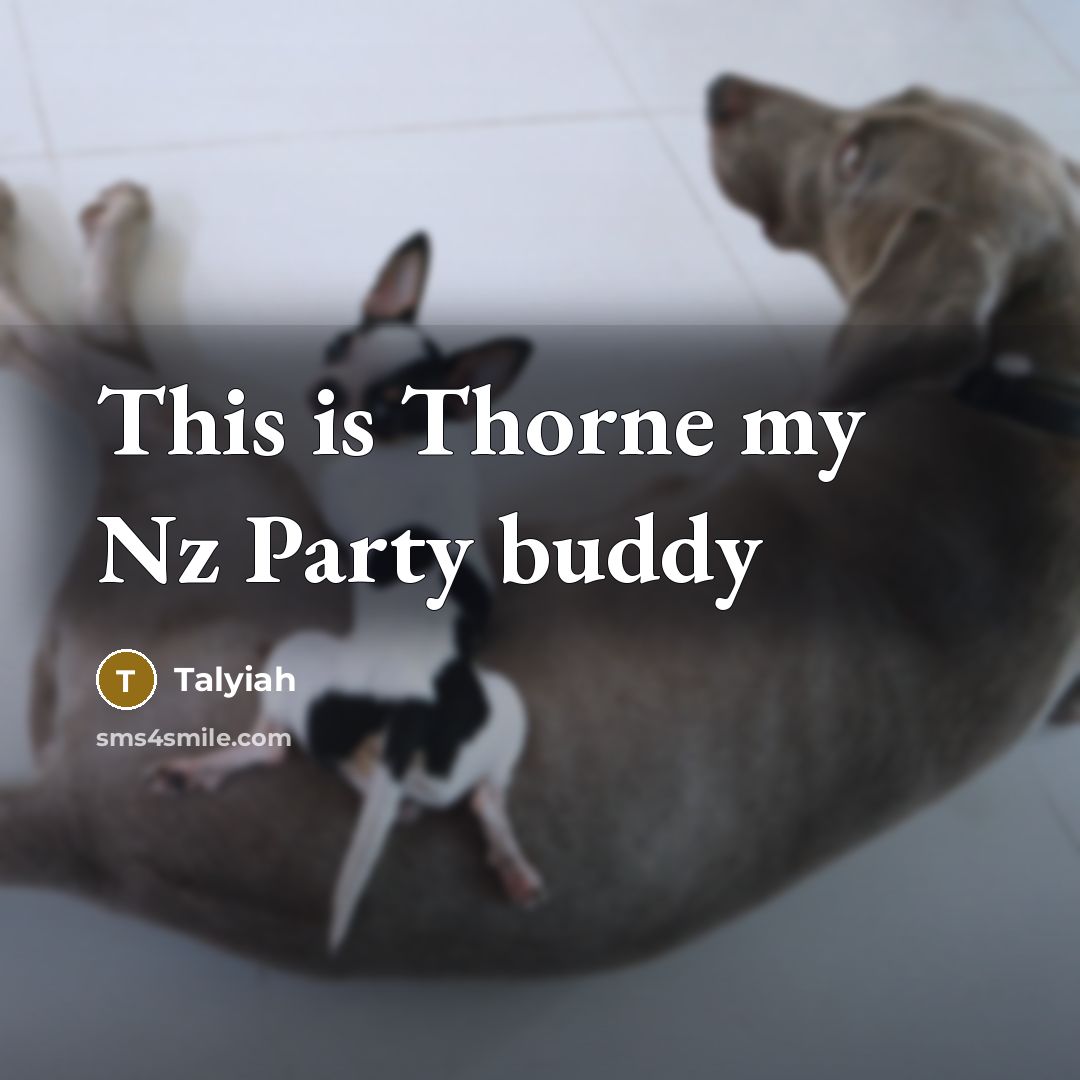 “This is Thorne my Nz Party buddy” quote by Talyiah
