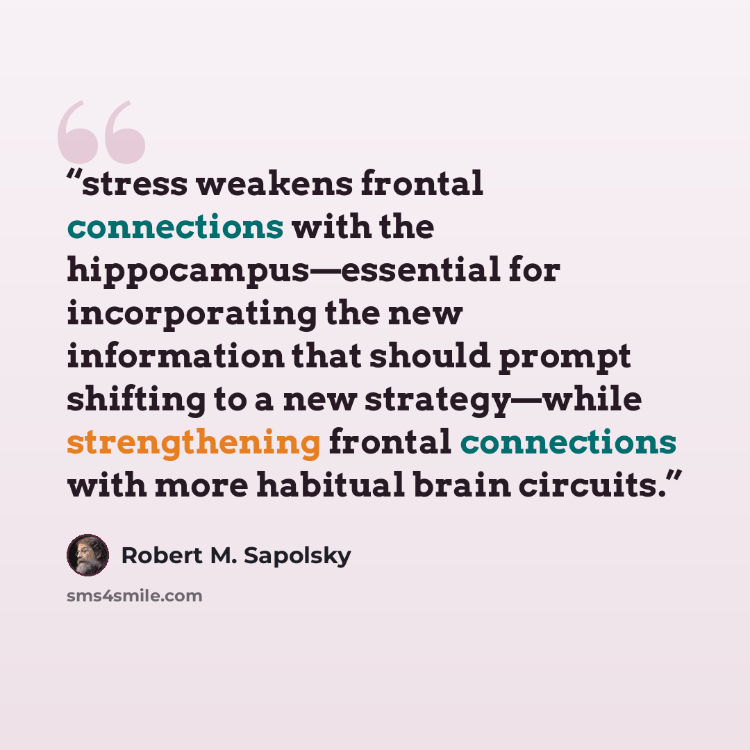 “stress weakens frontal connections with the hippocampus—essential for incorporating the new information that should prompt shifting to a new strategy—while strengthening frontal connections with more habitual brain circuits.” quote by Robert M. Sapolsky