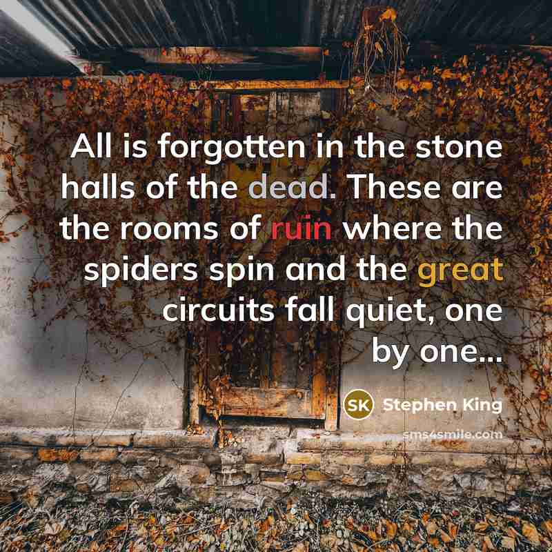 “All is forgotten in the stone halls of the dead. These are the rooms of ruin where the spiders spin and the great circuits fall quiet, one by one...” quote by Stephen King
