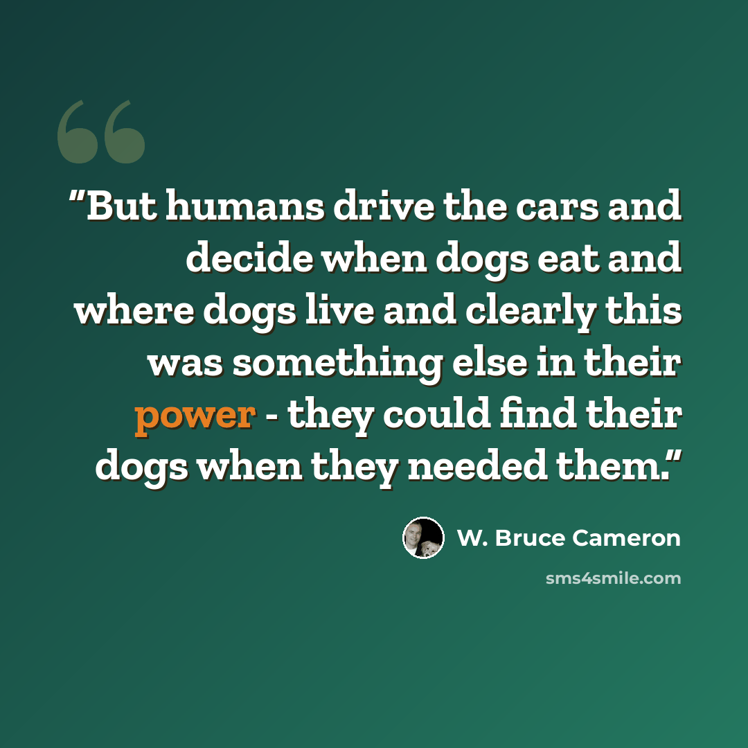 “But humans drive the cars and decide when dogs eat and where dogs live and clearly this was something else in their power - they could find their dogs when they needed them.” quote by W. Bruce Cameron