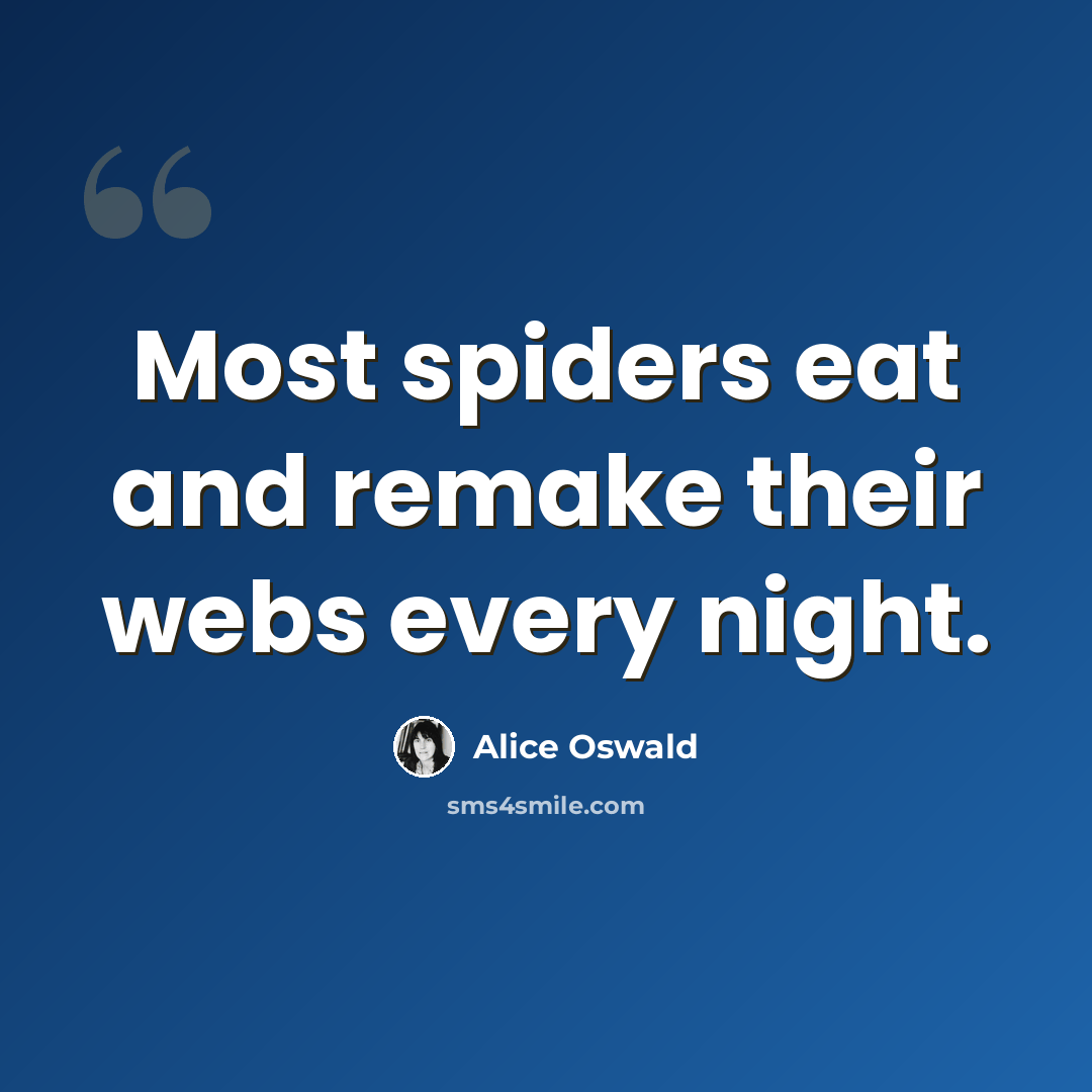 “Most spiders eat and remake their webs every night.” quote by Alice Oswald