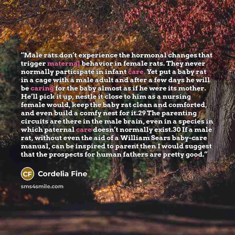 “Male rats don’t experience the hormonal changes that trigger maternal behavior in female rats. They never normally participate in infant care. Yet put a baby rat in a cage with a male adult and after a few days he will be caring for the baby almost as if he were its mother. He’ll pick it up…” quote by Cordelia Fine