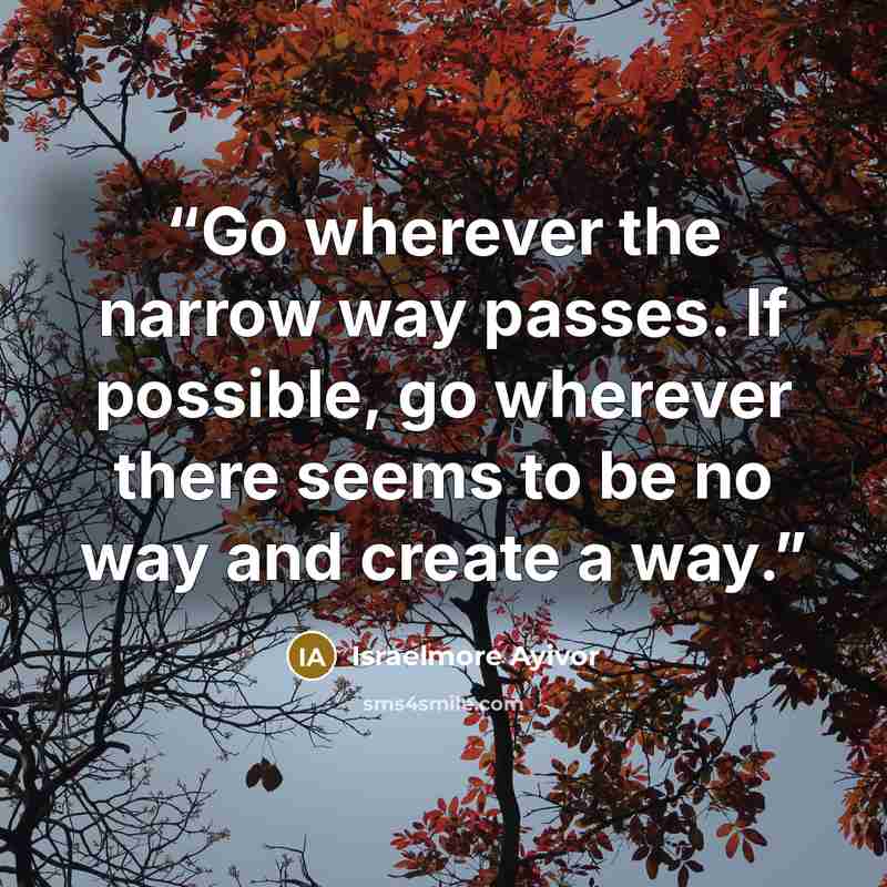 “Go wherever the narrow way passes. If possible, go wherever there seems to be no way and create a way.” quote by Israelmore Ayivor