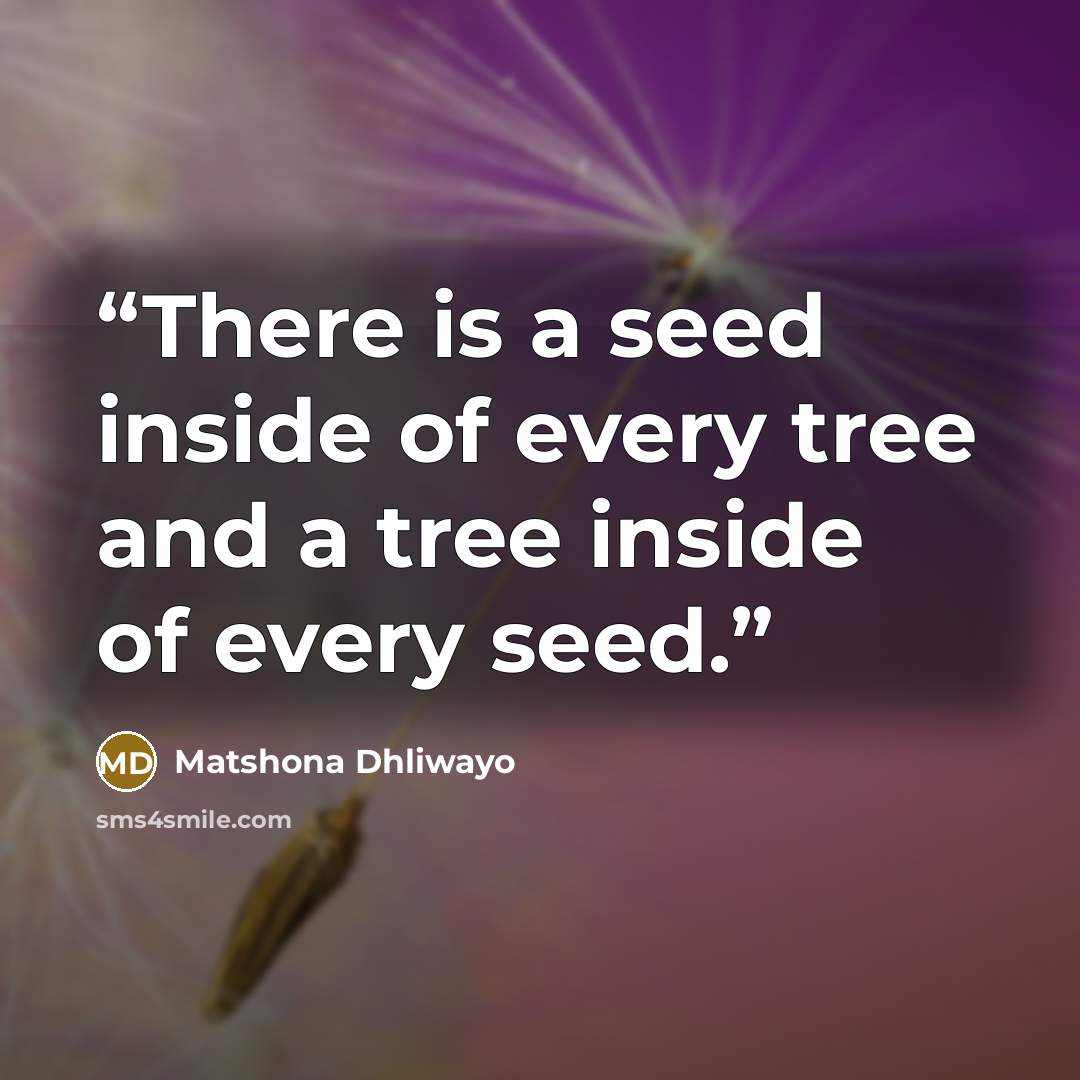 “There is a seed inside of every tree and a tree inside of every seed.” quote by Matshona Dhliwayo