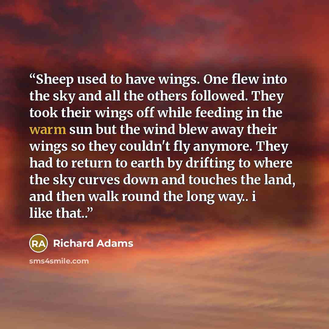 “Sheep used to have wings. One flew into the sky and all the others followed. They took their wings off while feeding in the warm sun but the wind blew away their wings so they couldn't fly anymore. They had to return to earth by drifting to where the sky curves down and touches the land, and then…” quote by Richard Adams