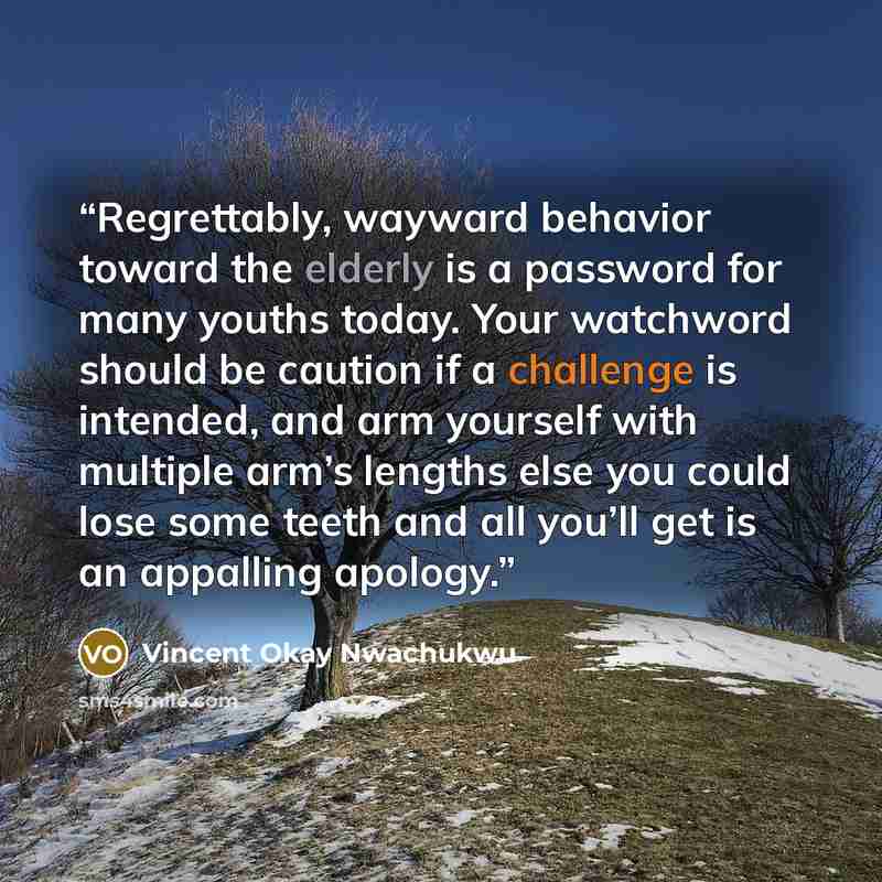 “Regrettably, wayward behavior toward the elderly is a password for many youths today. Your watchword should be caution if a challenge is intended, and arm yourself with multiple arm’s lengths else you could lose some teeth and all you’ll get is an appalling apology.” quote by Vincent Okay Nwachukwu