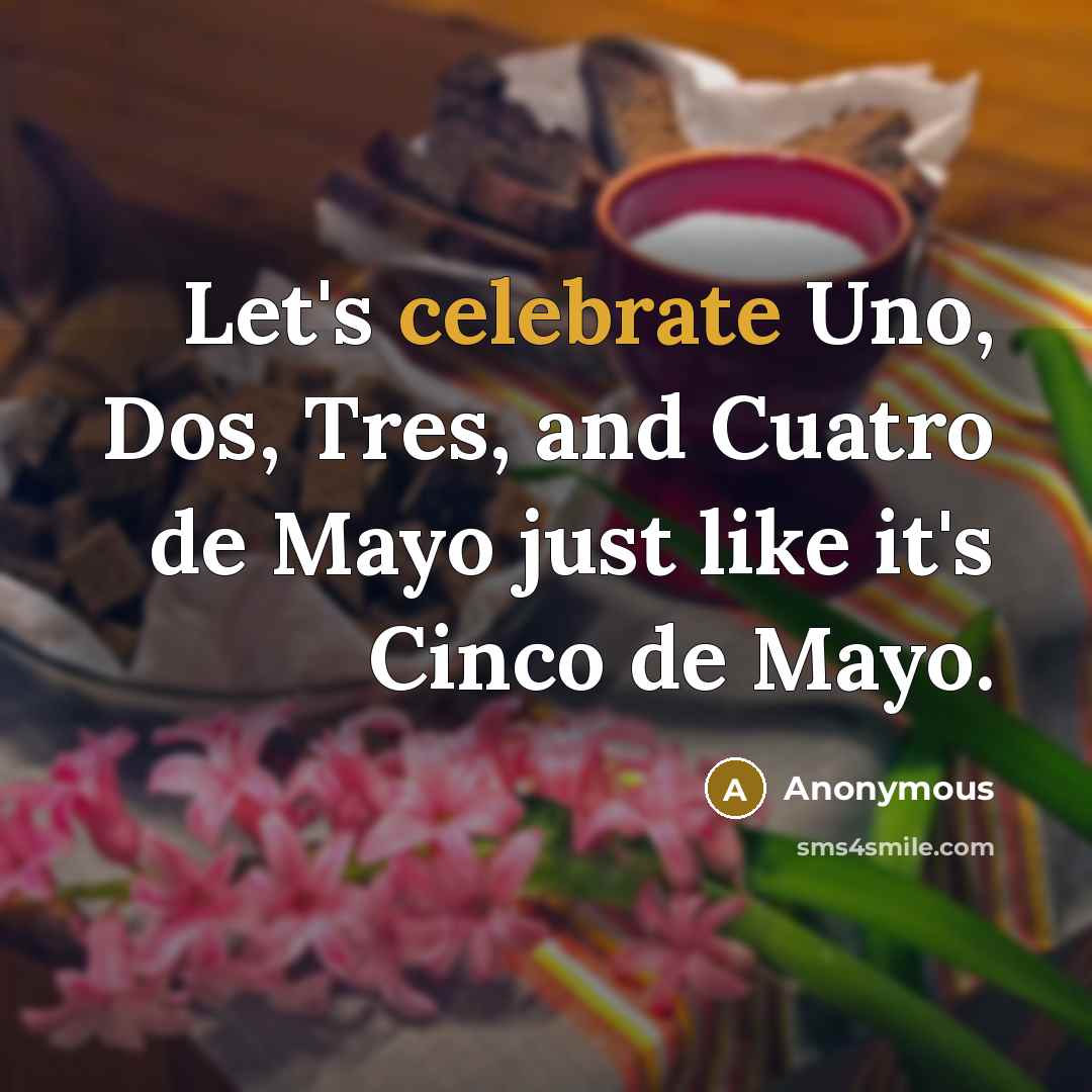 “Let's celebrate Uno, Dos, Tres, and Cuatro de Mayo just like it's Cinco de Mayo.” quote by Anonymous