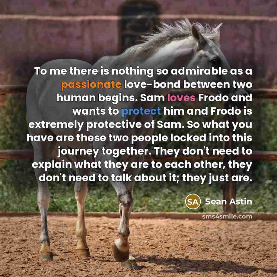 “To me there is nothing so admirable as a passionate love-bond between two human begins. Sam loves Frodo and wants to protect him and Frodo is extremely protective of Sam. So what you have are these two people locked into this journey together. They don't need to explain what they are to each…” quote by Sean Astin