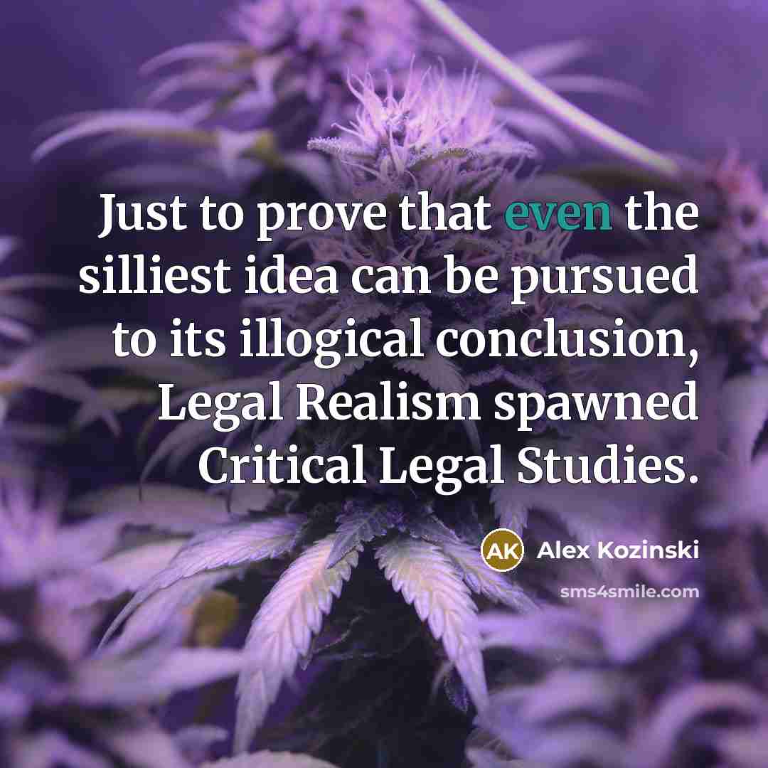 “Just to prove that even the silliest idea can be pursued to its illogical conclusion, Legal Realism spawned Critical Legal Studies.” quote by Alex Kozinski