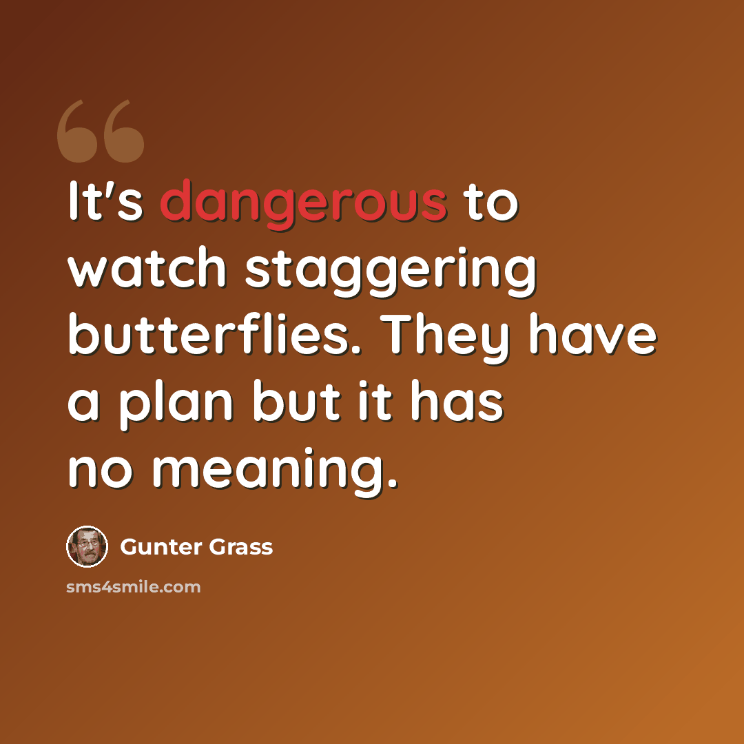 “It's dangerous to watch staggering butterflies. They have a plan but it has no meaning.” quote by Gunter Grass