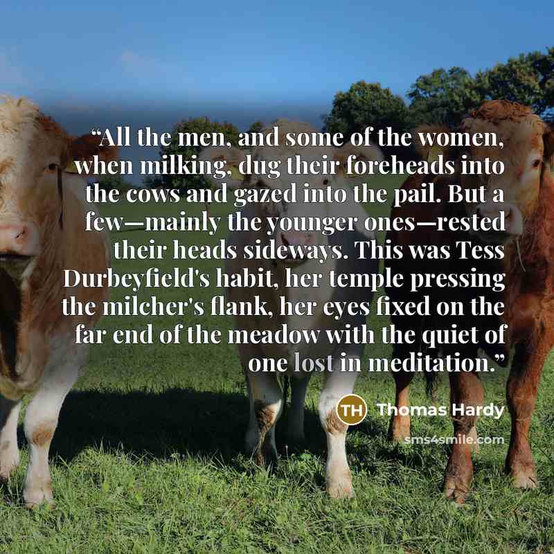 “All the men, and some of the women, when milking, dug their foreheads into the cows and gazed into the pail. But a few—mainly the younger ones—rested their heads sideways. This was Tess Durbeyfield's habit, her temple pressing the milcher's flank, her eyes fixed on the far end of the meadow with…” quote by Thomas Hardy