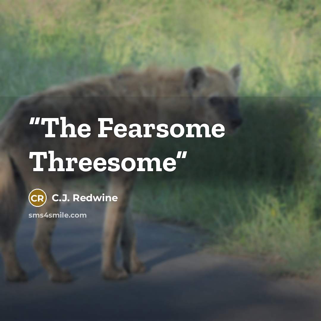 “The Fearsome Threesome” quote by C.J. Redwine