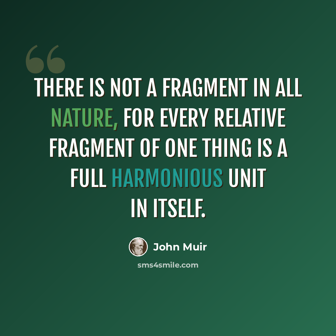 “There is not a fragment in all nature, for every relative fragment of one thing is a full harmonious unit in itself.” quote by John Muir