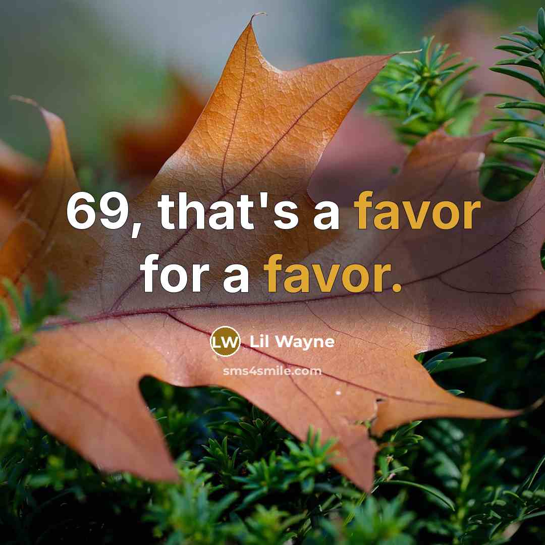 “69, that's a favor for a favor.” quote by Lil Wayne