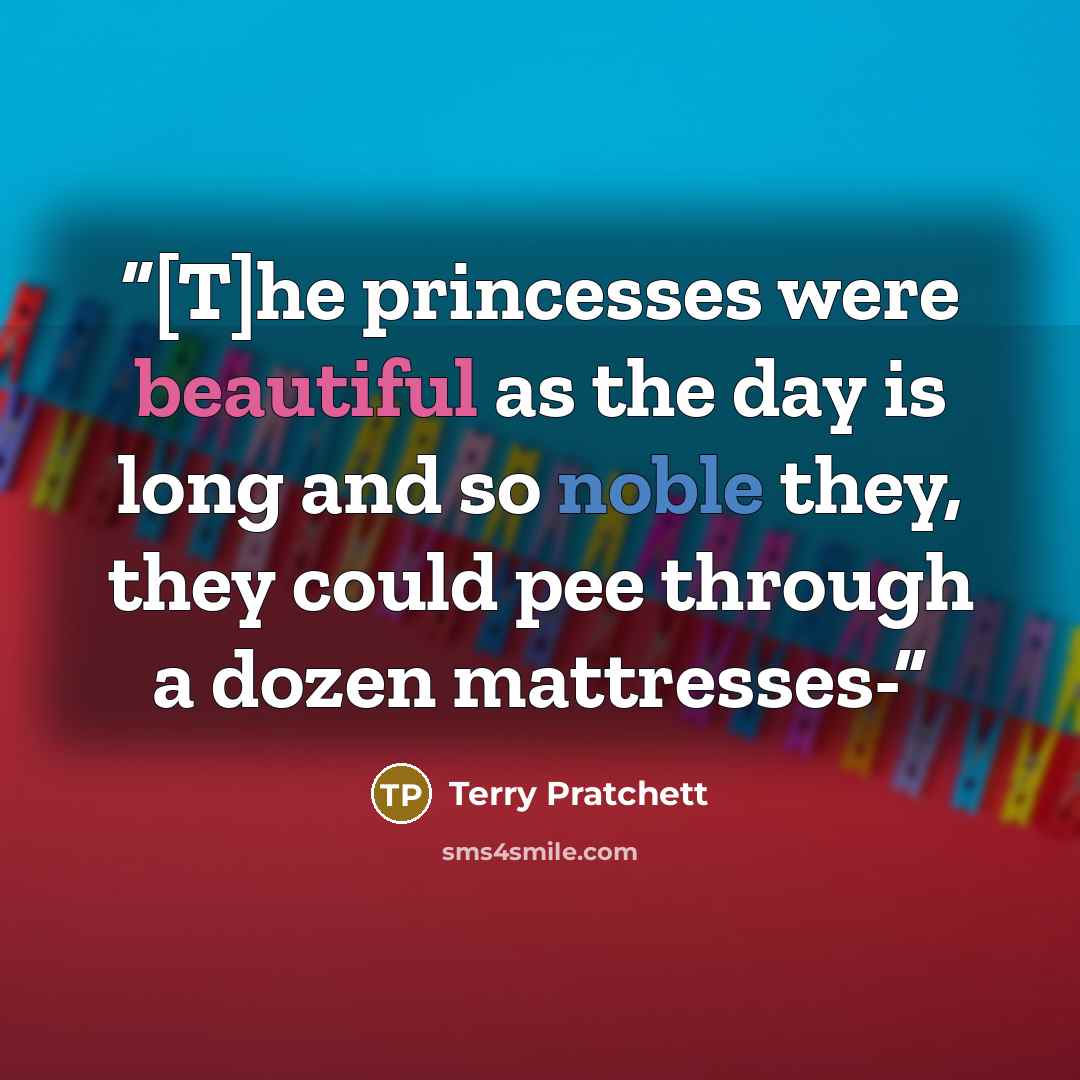 “[T]he princesses were beautiful as the day is long and so noble they, they could pee through a dozen mattresses-” quote by Terry Pratchett