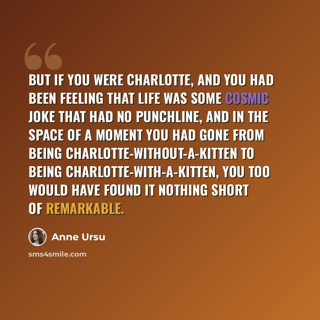 “But if you were Charlotte, and you had been feeling that life was some cosmic joke that had no punchline, and in the space of a moment you had gone from being Charlotte-without-a-kitten to being Charlotte-with-a-kitten, you too would have found it nothing short of remarkable.” quote by Anne Ursu