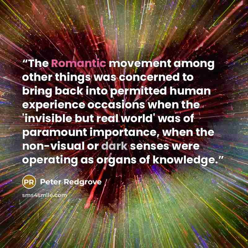 “The Romantic movement among other things was concerned to bring back into permitted human experience occasions when the 'invisible but real world' was of paramount importance, when the non-visual or dark senses were operating as organs of knowledge.” quote by Peter Redgrove