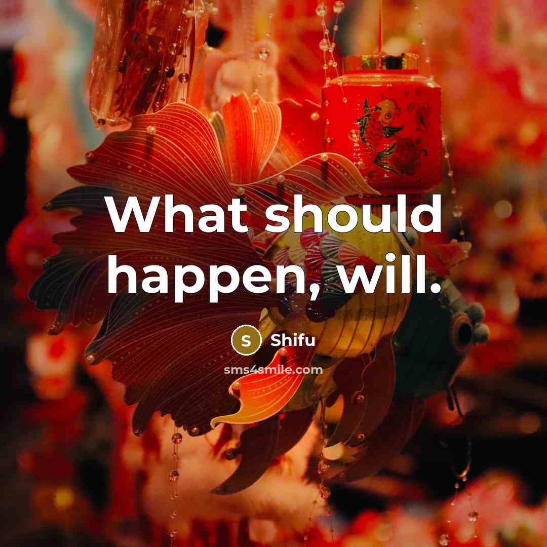 “What should happen, will.” quote by Shifu