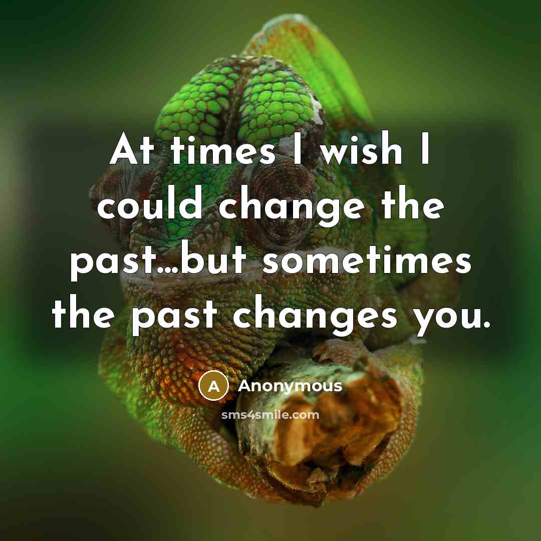 “At times I wish I could change the past...but sometimes the past changes you.” quote by Anonymous