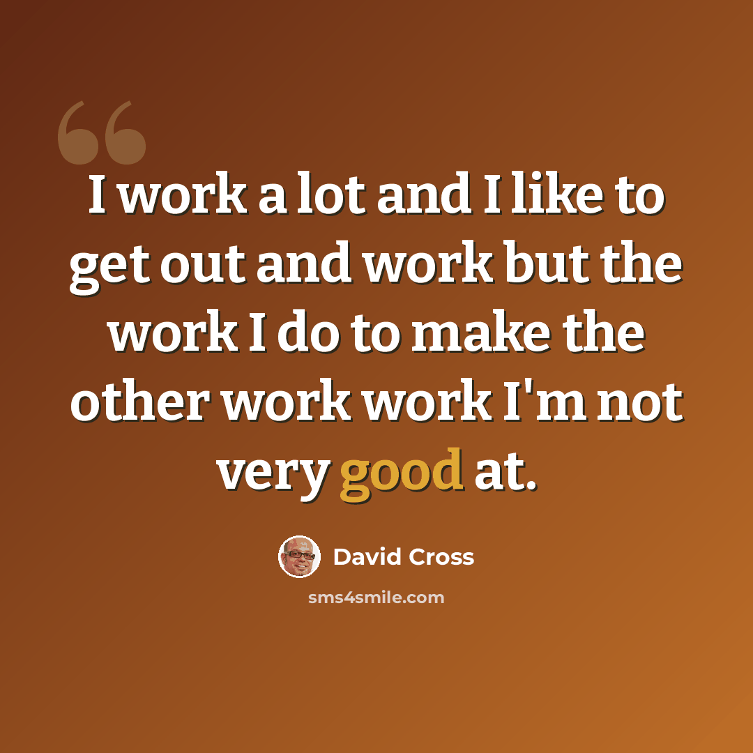 “I work a lot and I like to get out and work but the work I do to make the other work work I'm not very good at.” quote by David Cross