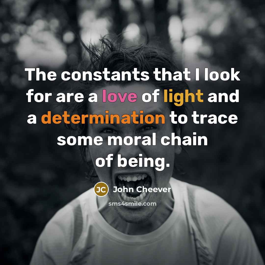 “The constants that I look for are a love of light and a determination to trace some moral chain of being.” quote by John Cheever