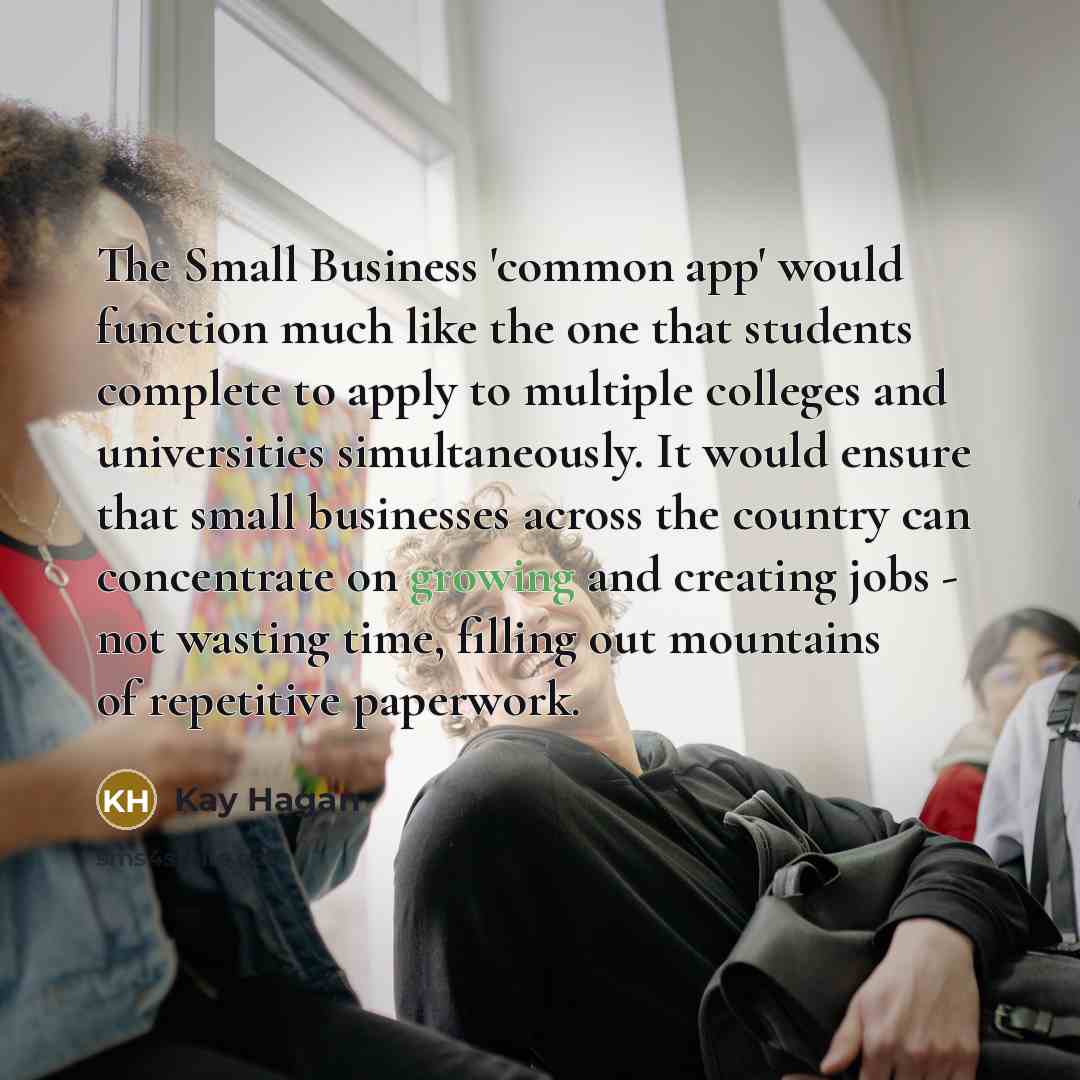 “The Small Business 'common app' would function much like the one that students complete to apply to multiple colleges and universities simultaneously. It would ensure that small businesses across the country can concentrate on growing and creating jobs - not wasting time, filling out mountains of…” quote by Kay Hagan