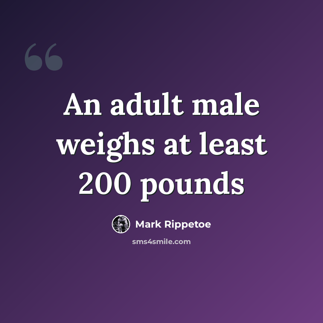 “An adult male weighs at least 200 pounds” quote by Mark Rippetoe